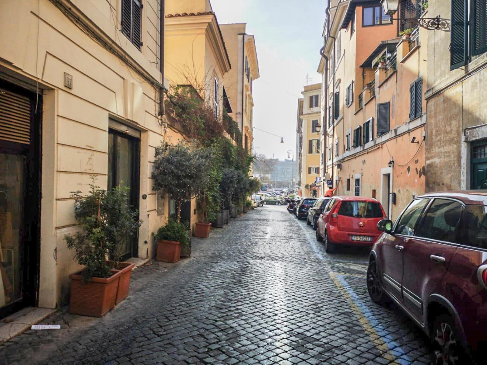Flatinrome Trastevere Deluxe Rooms - Green Patio エクステリア 写真